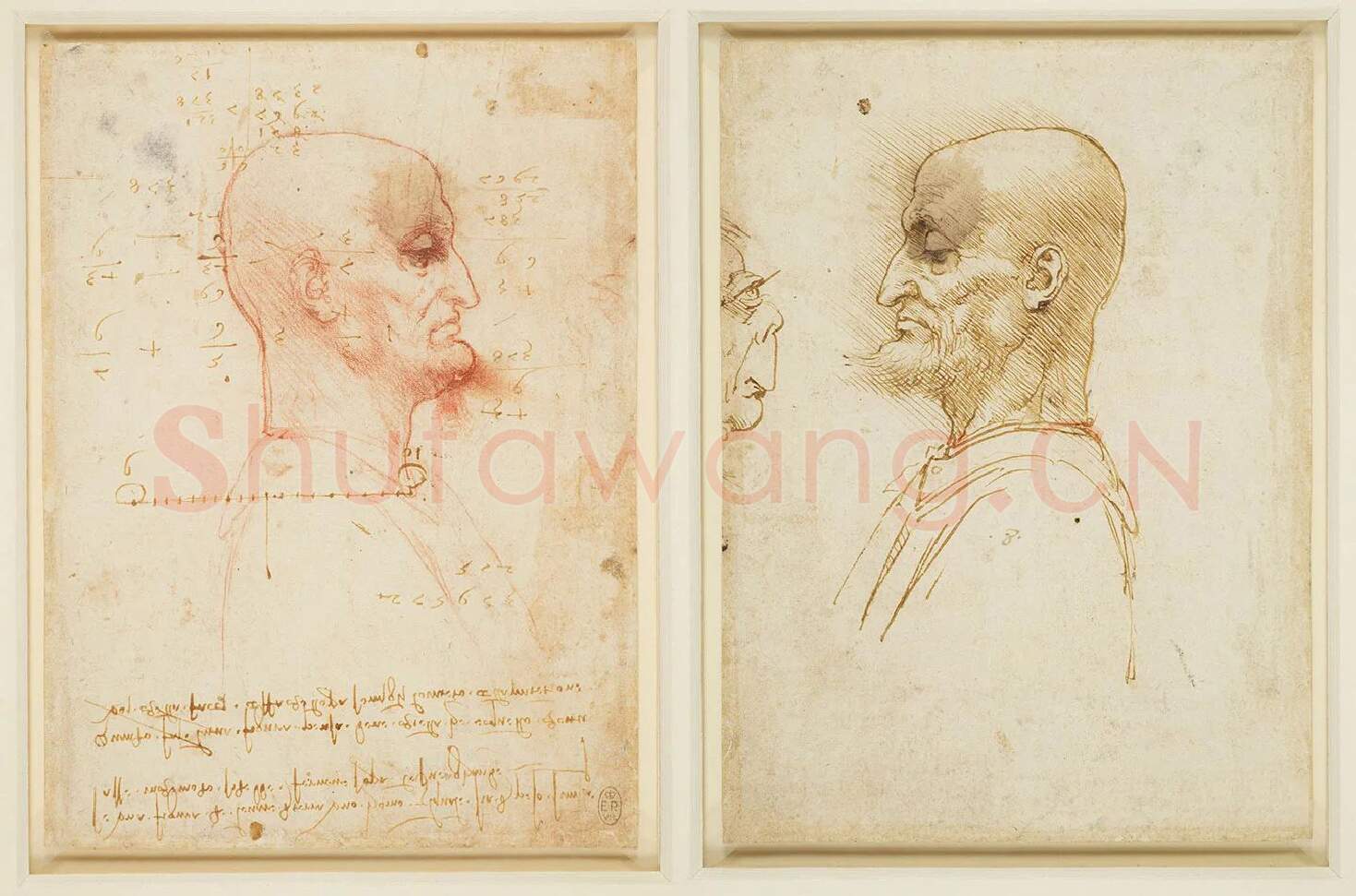 达·芬奇素描《没有头发的男人的侧面肖像》