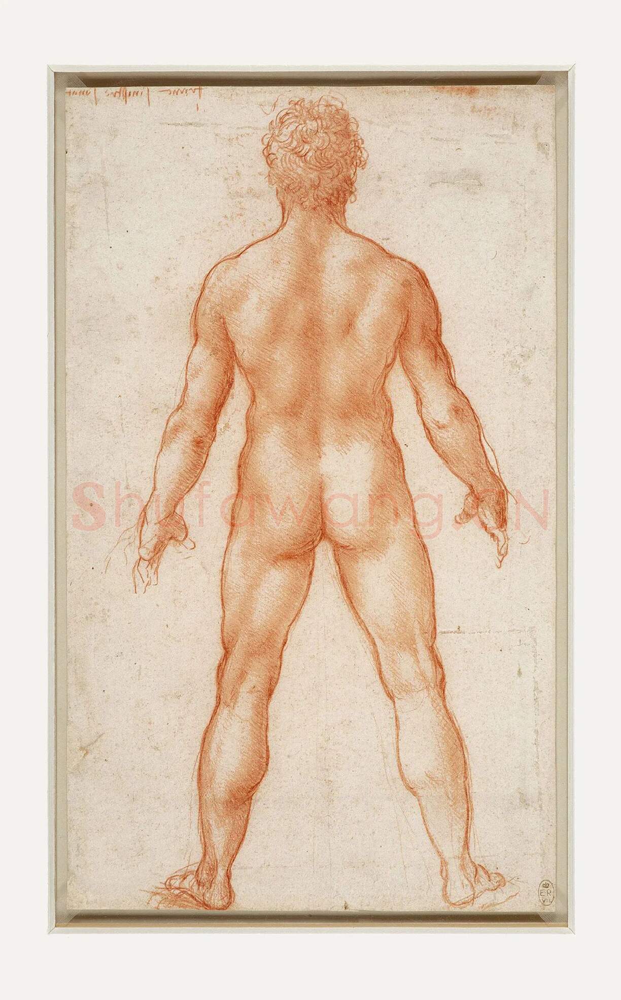 达芬奇素描画作品《男性人体的背部》
