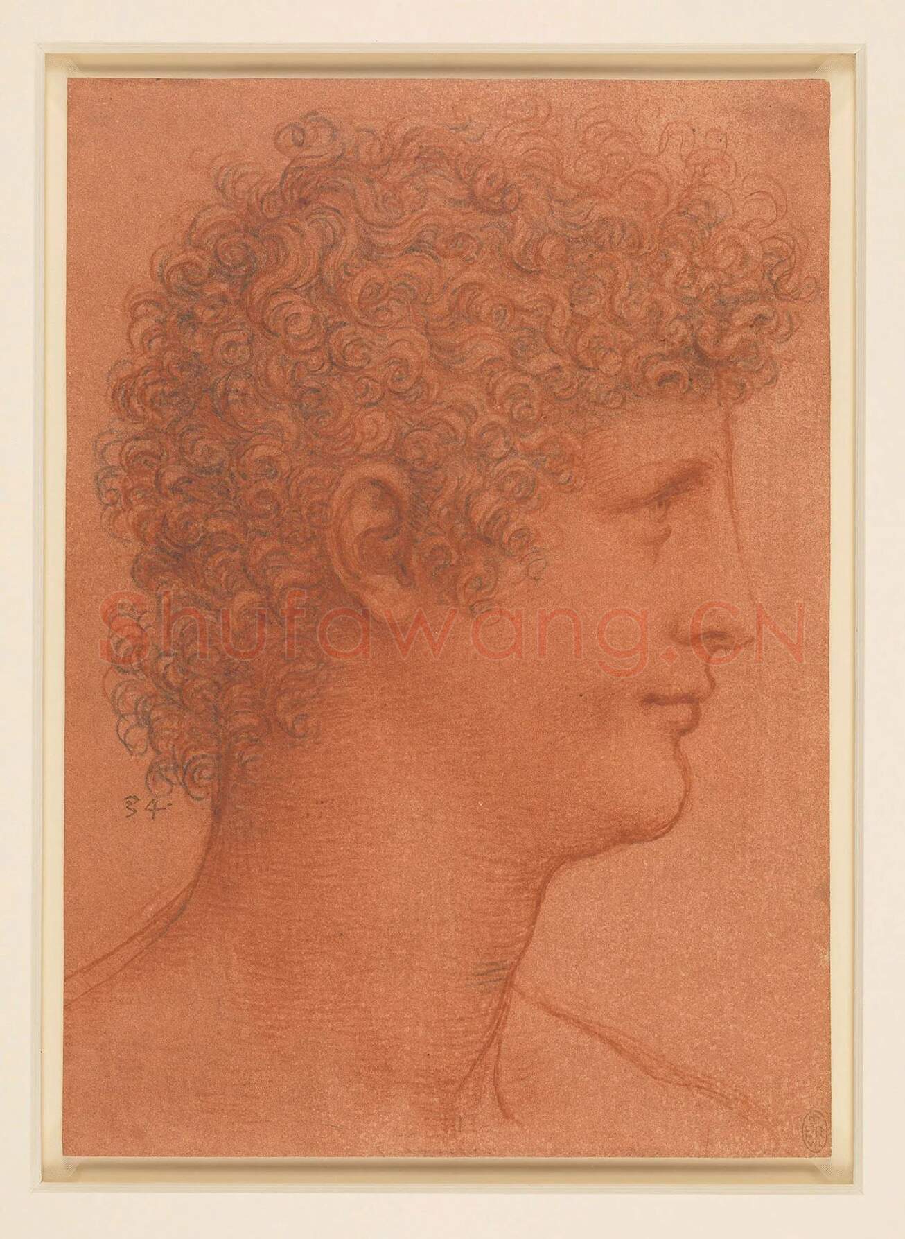 达芬奇素描人物作品《卷发青年男子头像》