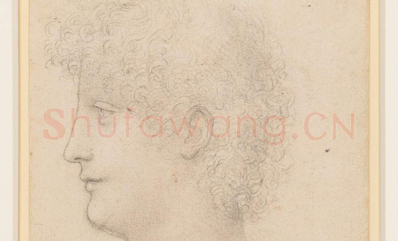 达·芬奇素描人物作品《一个卷发的年轻人头像》_02