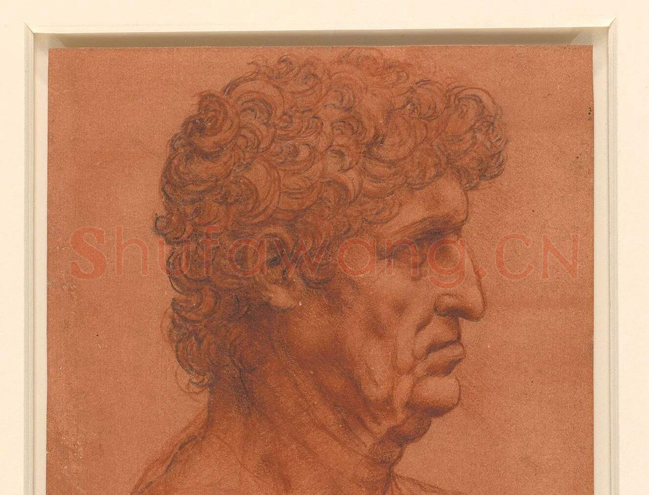 达·芬奇素描作品《男子侧面半身像》_01