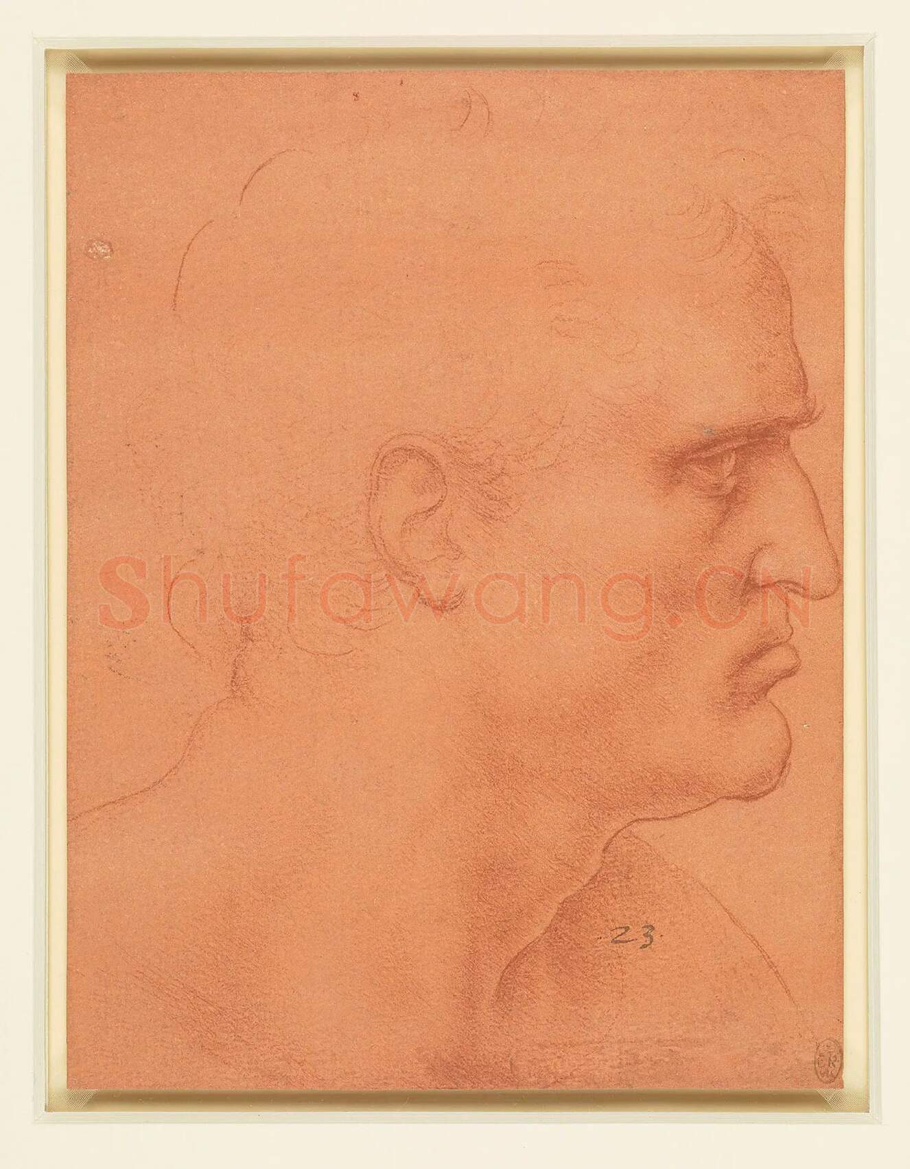 达芬奇素描《圣巴塞洛缪的头像》