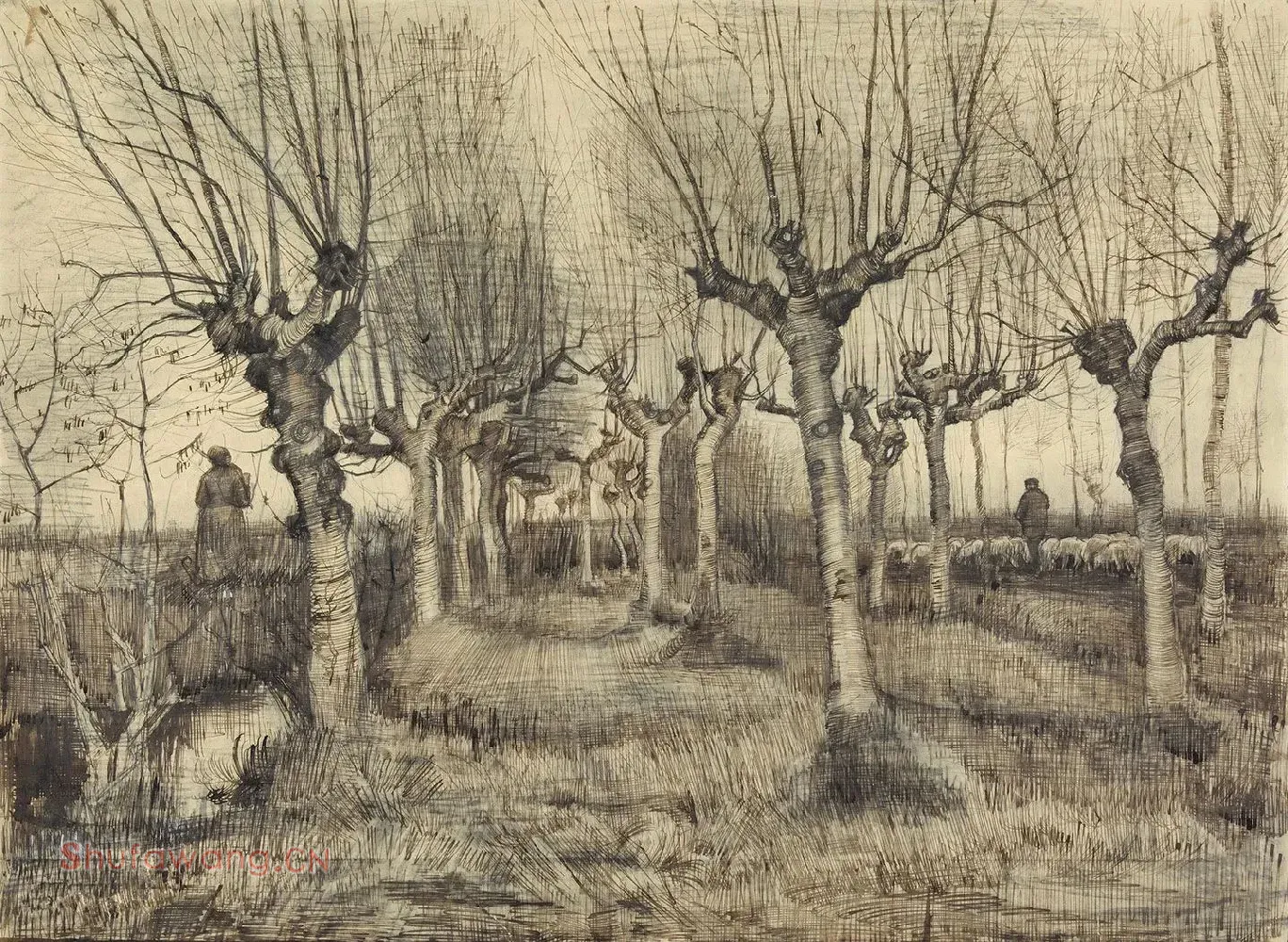 梵高素描风景《Pollard Birches》高清大图