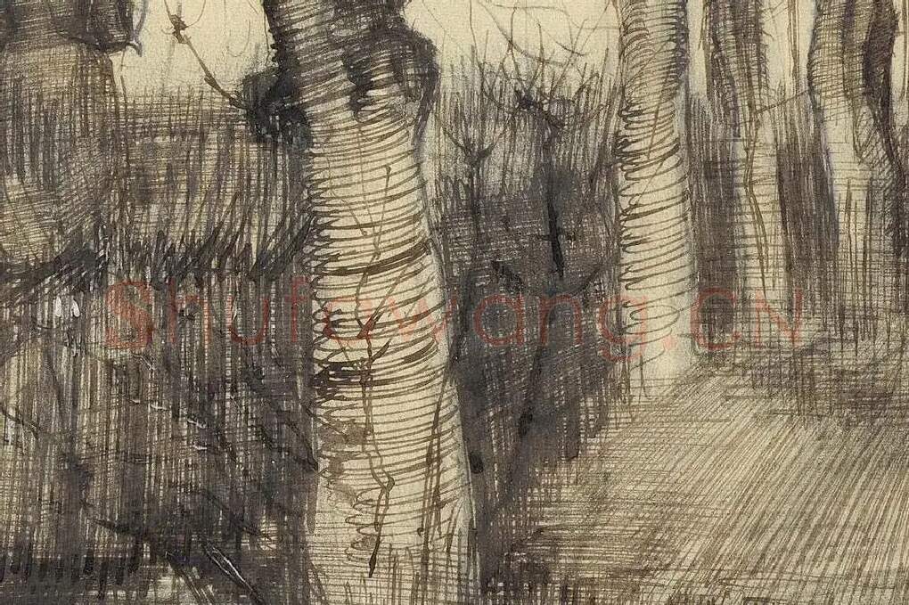 梵高素描风景《Pollard Birches》局部 (1)