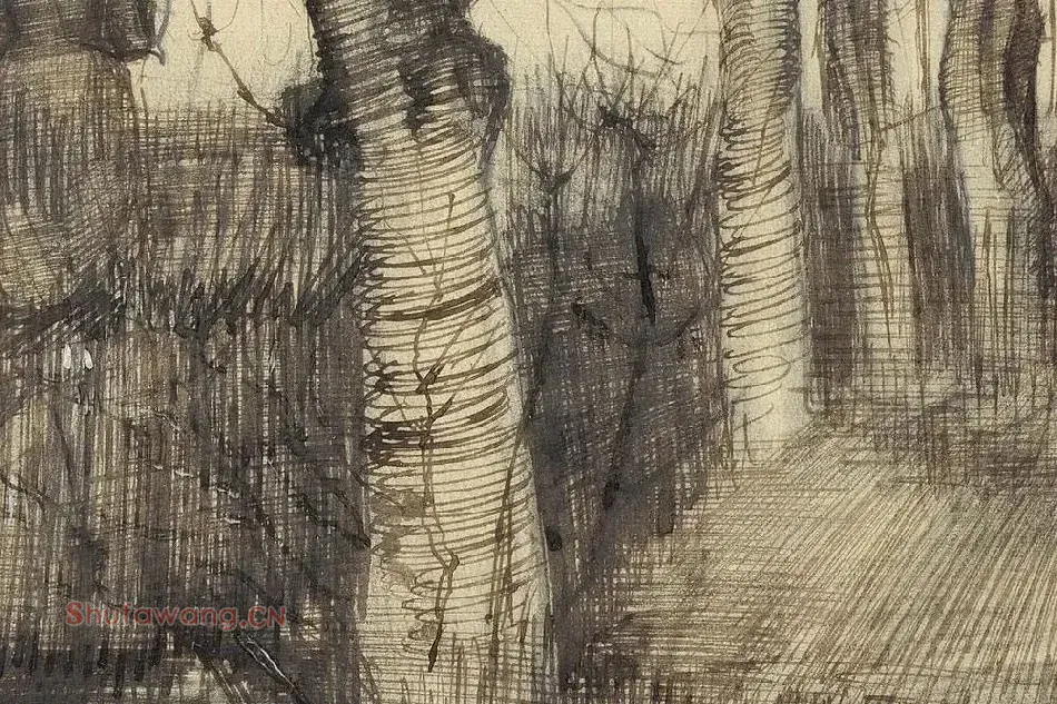 梵高素描风景《Pollard Birches》局部 (1)