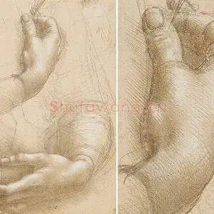 达·芬奇素描《手》
