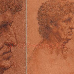达·芬奇素描作品《男子侧面半身像》