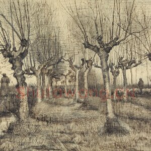 梵高素描风景《Pollard Birches》