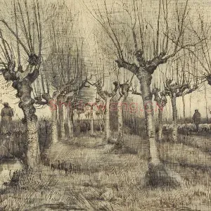 梵高素描风景《Pollard Birches》