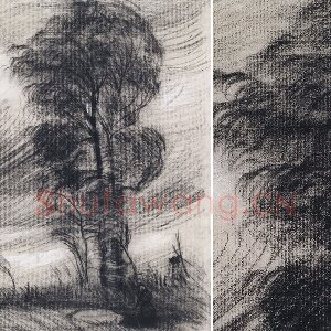 梵高素描风景《狂风中的大树》